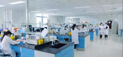 350余家企業獲補貼約10億元 點贊北京經開區這波惠企政策紅利