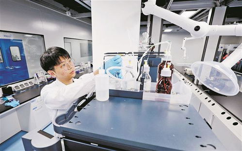 廈門布局建設(shè)首批聯(lián)合實(shí)驗(yàn)室 重點(diǎn)推動(dòng)新興產(chǎn)業(yè)和未來產(chǎn)業(yè)領(lǐng)域布局建設(shè)