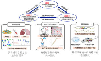 我校5人獲省杰青項目資助、4支團隊入選省重點科技創(chuàng)新團隊