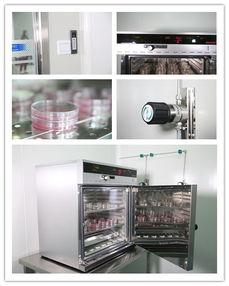 廣州環(huán)亞化妝品科技