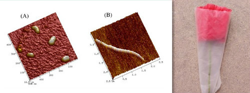 水保所在生態(tài)環(huán)境治理新型材料研發(fā)方面取得系列進(jìn)展
